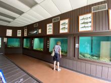 Clear Lake Aquarium